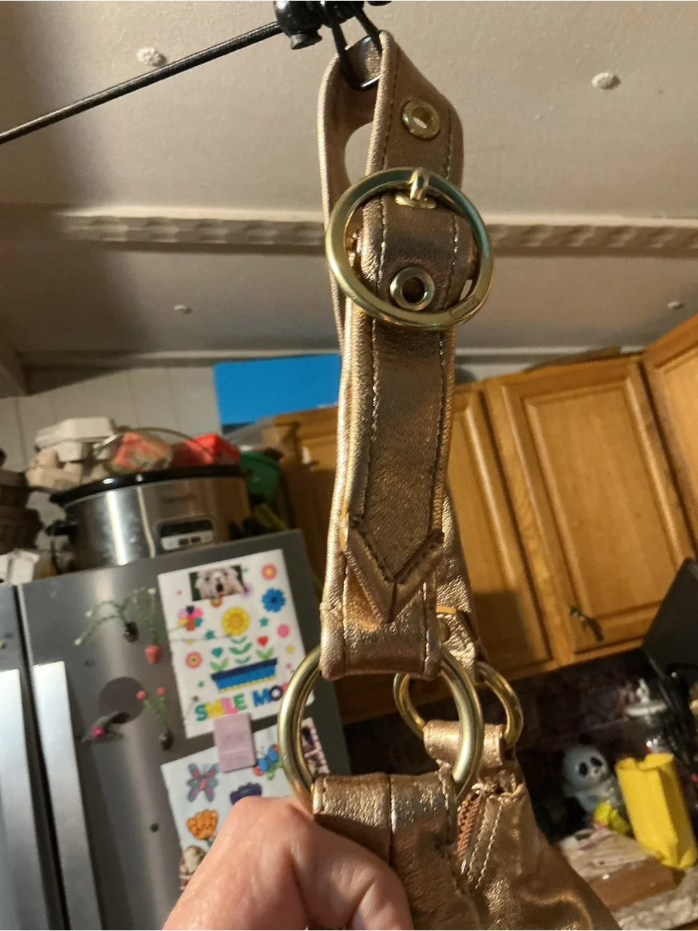 Coach Metallic Bronze Hobo Bag with COA